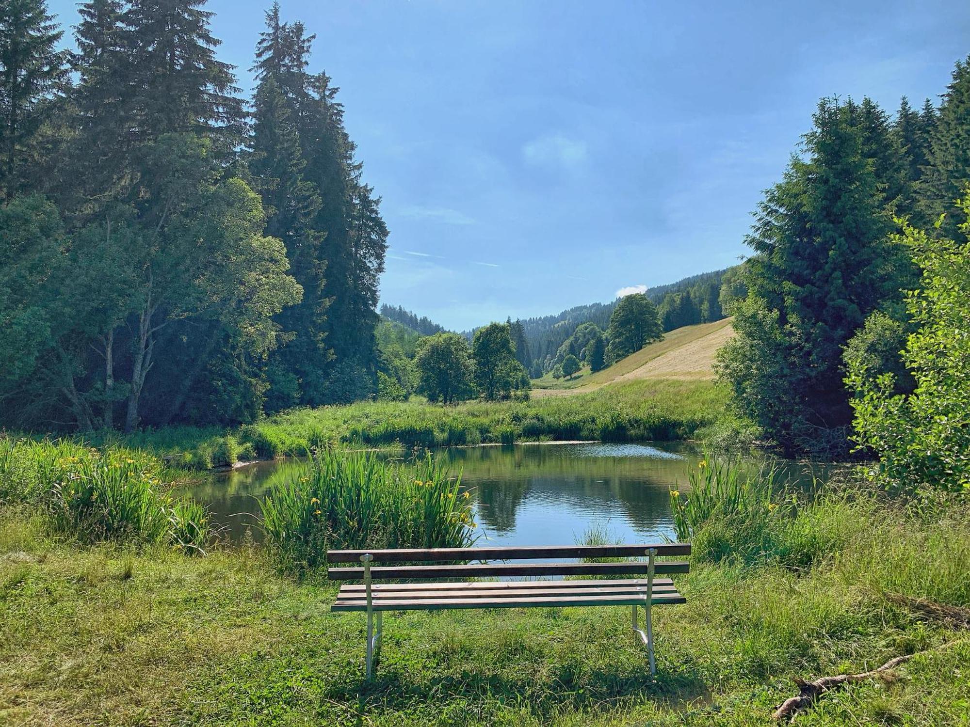 Erzgebirge Suite Bergruhe Oberwiesenthal Luaran gambar